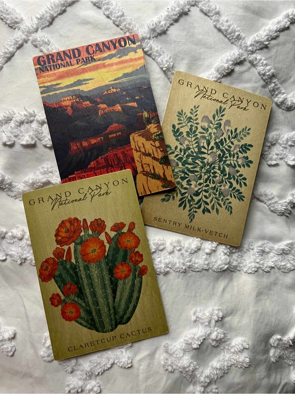 Grand Canyon National Park Wooden Postcard Set